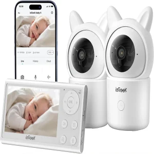Monitor with 2 1080P Cameras